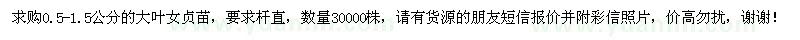 求購(gòu)大葉女貞