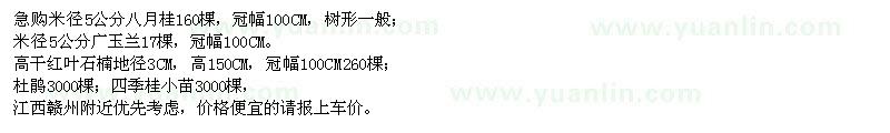 求購5CM八月桂、廣玉蘭、紅葉石楠等。