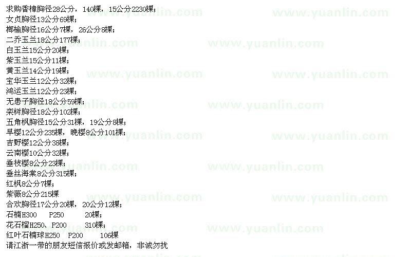 求購香樟、女貞、榔榆、二喬玉蘭、白玉蘭