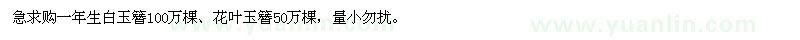 求購一年生白玉簪、花葉玉簪