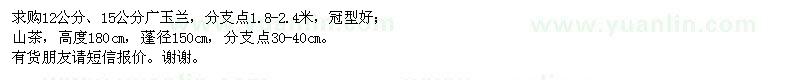 求購廣玉蘭,山茶