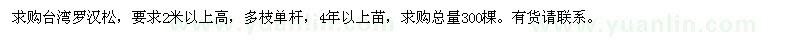 求購臺灣羅漢松300棵