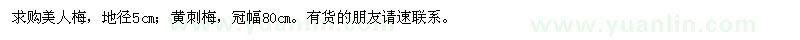 求購(gòu)美人梅,黃刺梅