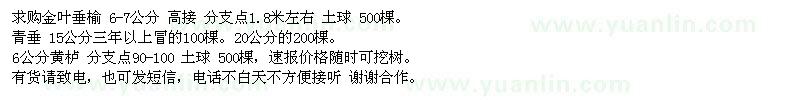 求購6-7公分金葉垂榆