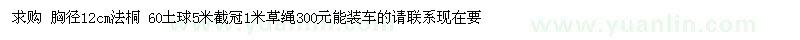求購(gòu)胸徑12cm法桐