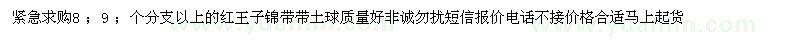 求購(gòu)8 ，9 個(gè)分支以上的紅王子錦帶