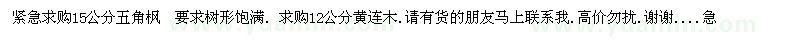 求購(gòu)15公分五角楓、12公分黃連木