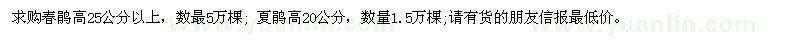 求購(gòu)春鵑高25公分以上