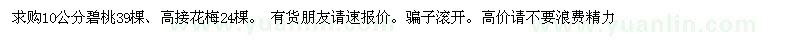 求購10公分碧桃39棵、高接花梅24棵