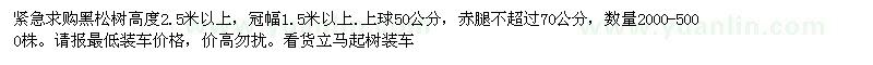 求購黑松樹高度2.5米以上