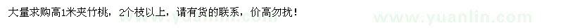 求購高1米夾竹桃