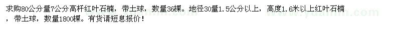 求購80量7公分紅葉石楠