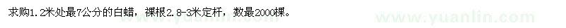 求購 1.2米處最7公分的白蠟