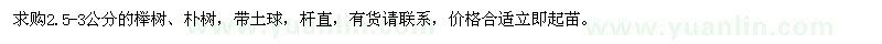 求購2.5-3公分的櫸樹,樸樹