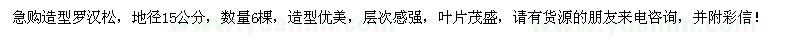 求購(gòu)地徑15公分造型羅漢松