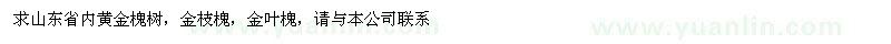 求購5-10公分黃金槐