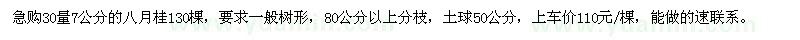 求購30量7公分的八月桂