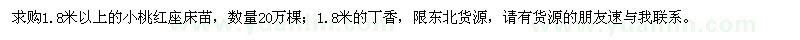求購1.8米以上的小桃紅座床苗,1.8米的丁香