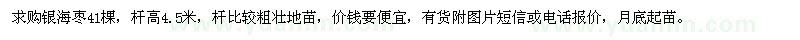 求購銀海棗41棵