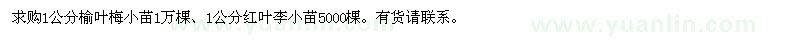求購1公分榆葉梅小苗,1公分紅葉李小苗