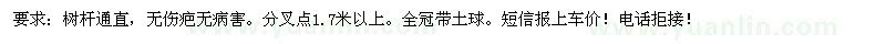 求購米徑8分欒樹