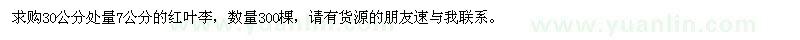 求購紅葉李