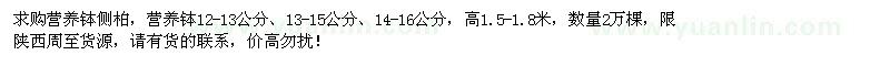 求購高1.5-1.8米營養(yǎng)缽側(cè)柏2萬棵