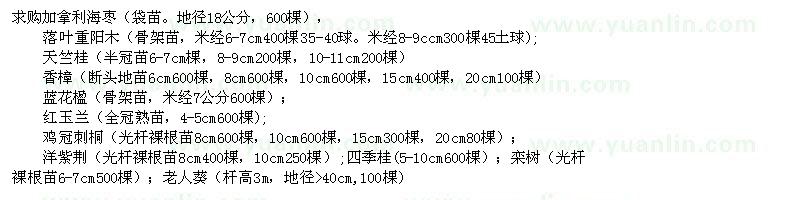 求購加拿利海棗、重陽木、天竺桂、香樟、藍(lán)花楹、紅玉蘭、雞冠刺桐、洋紫荊、四季桂、欒樹、老人葵