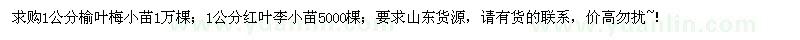 求購榆葉梅小苗1萬棵、紅葉李小苗5000棵