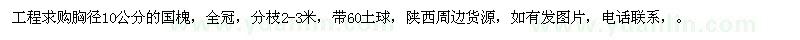 求購(gòu)胸徑10公分的國(guó)槐