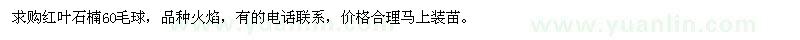 求購 紅葉石楠60毛球
