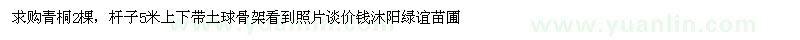 求購青桐2棵