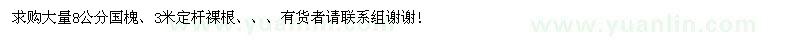 求購(gòu)大量8公分國(guó)槐