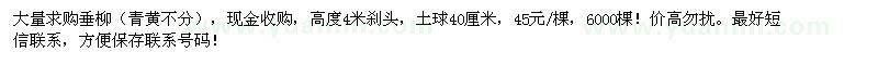求購垂柳