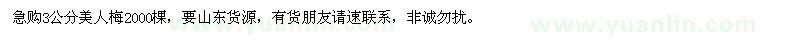 求購急3公分美人梅