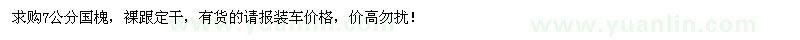 求購7公分國槐