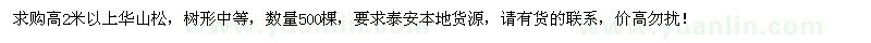 求購高2米以上華山松500棵