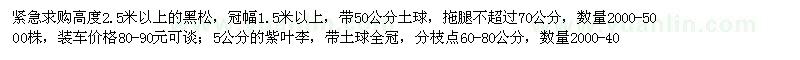 求購高度2.5米以上的黑松,5公分的紫葉李