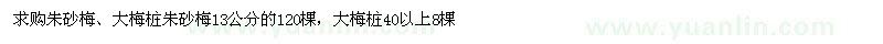 求購朱砂梅