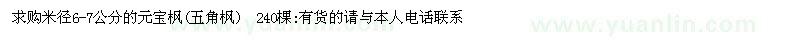 求購米徑6-7公分的元寶楓