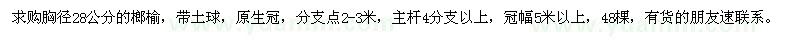 求購胸徑28公分的榔榆