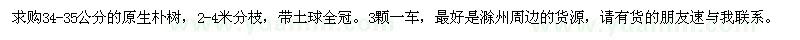 求購34-35公分的原生樸樹