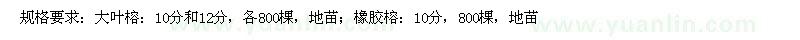 求購大葉榕、橡膠榕.高山榕，香樟，羊蹄甲