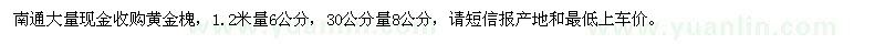 求購6公分,8公分黃金槐