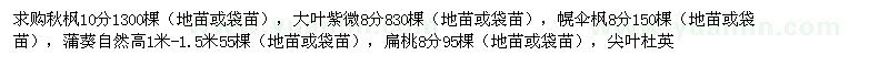 求購(gòu)本地木棉,秋楓,大葉紫薇,尖葉杜英