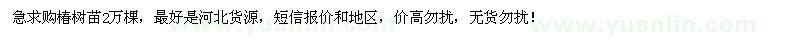 求購(gòu)椿樹(shù)苗2萬(wàn)棵
