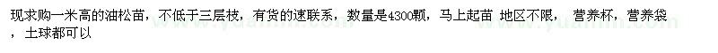 求購(gòu)一米高的油松苗