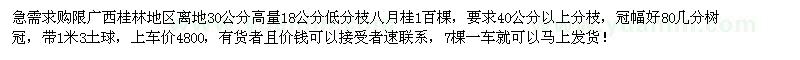 求購(gòu)18公分低分枝八月桂1百棵