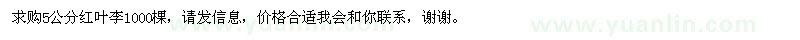 求購(gòu)5公分紅葉李1000棵