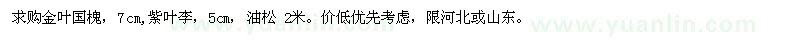 求購金葉國槐、紫葉李、油松